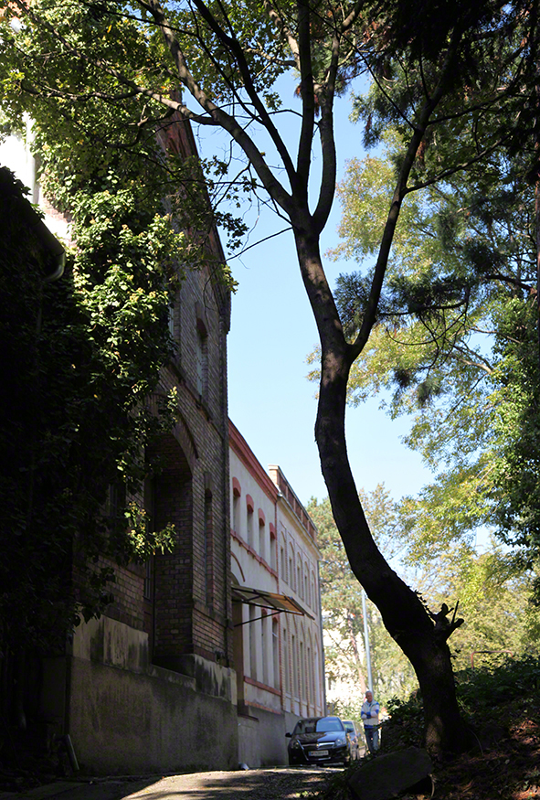 Zacherlfabrik