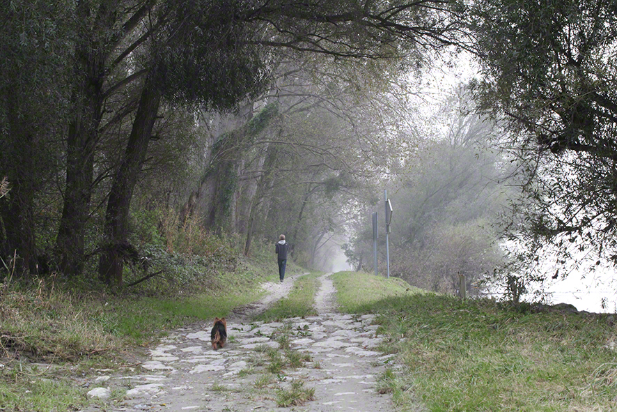 Haslau
