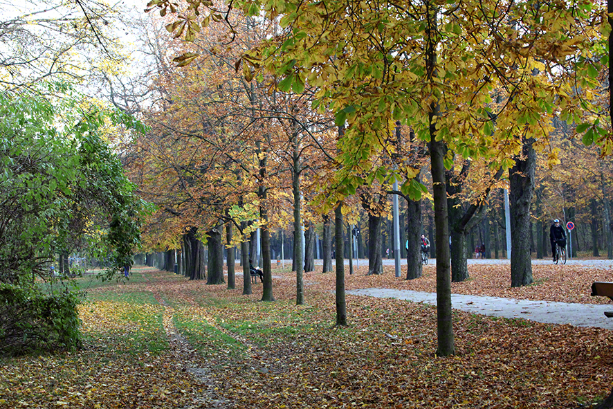 Prater-Hauptallee
