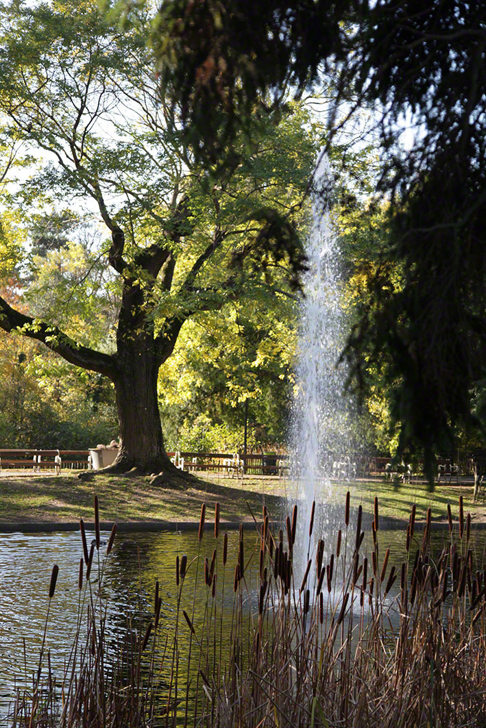 Türkenschanzpark