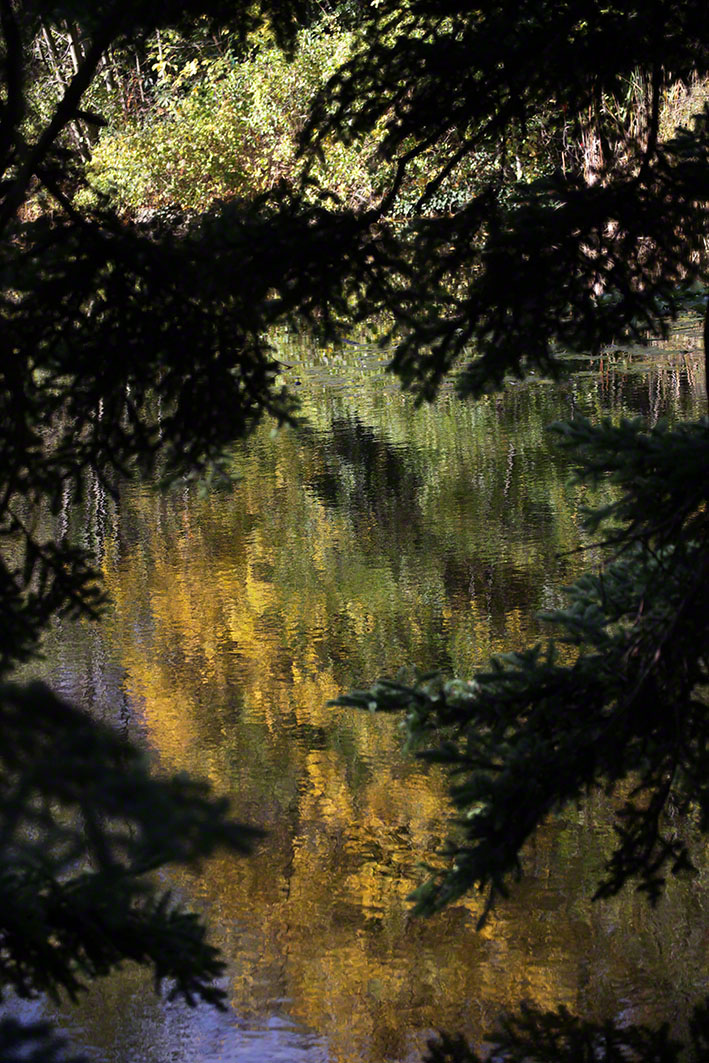Türkenschanzpark