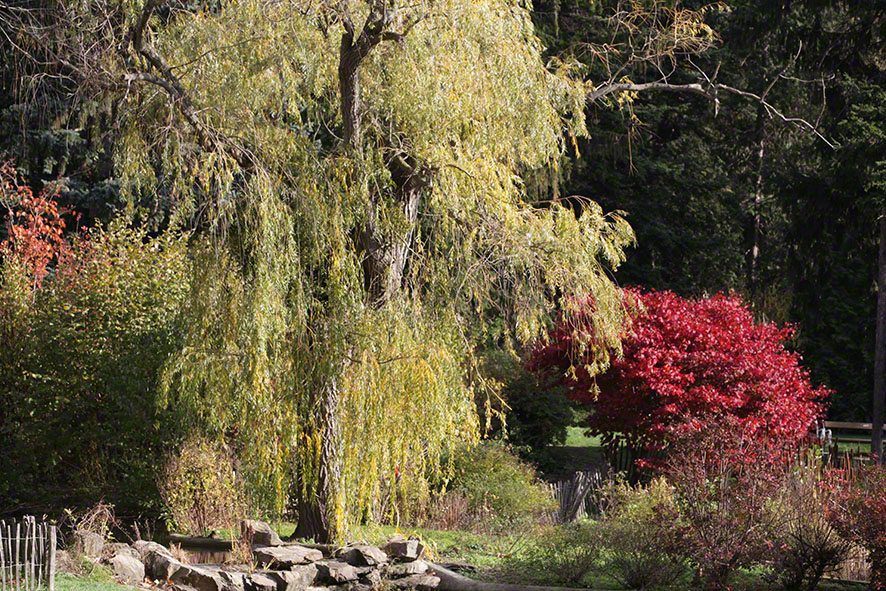 Türkenschanzpark
