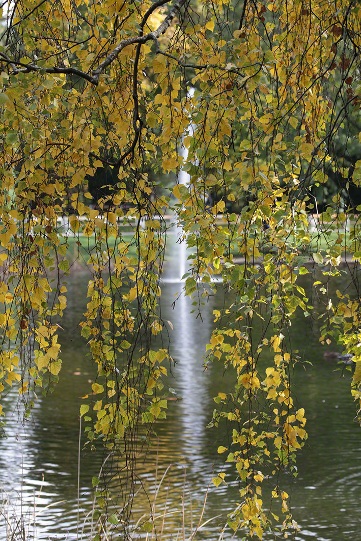 Türkenschanzpark