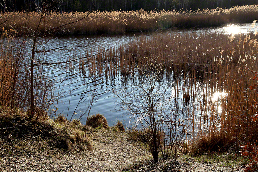 Lobau Panozza-Lacke