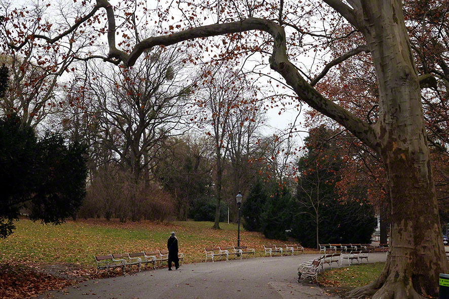 Weg im Türkenschanzpark