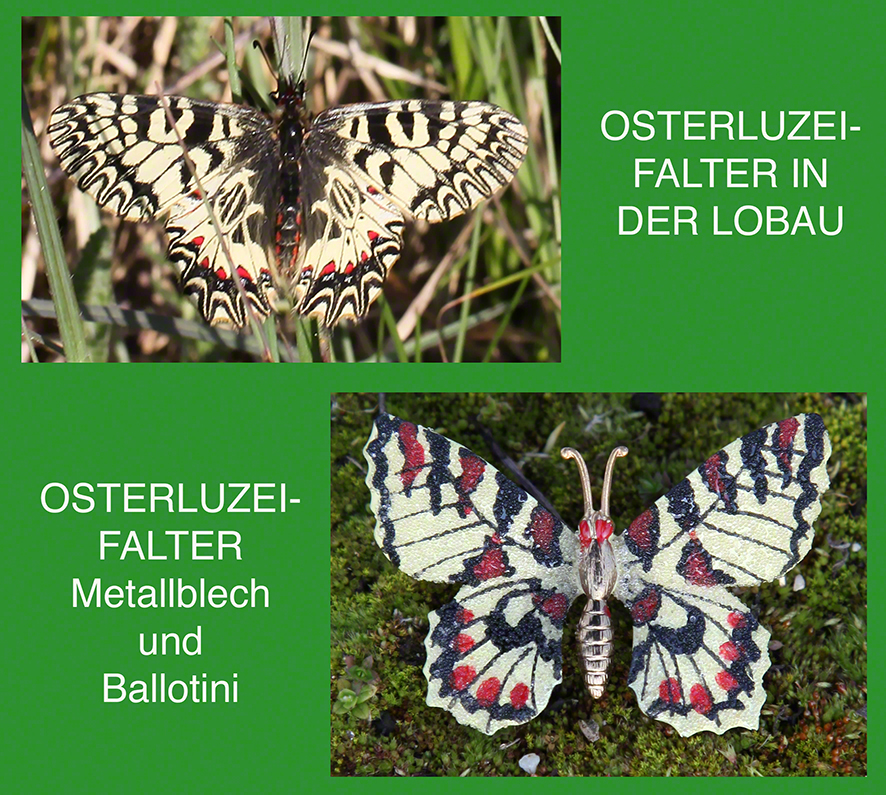 Gablonz Schmetterlinge