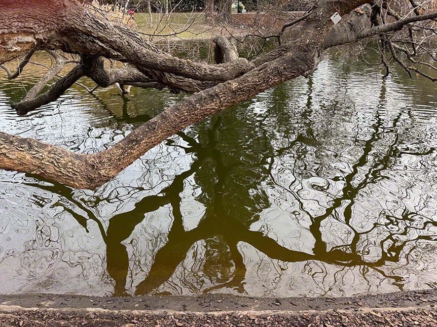 Stadtpark
