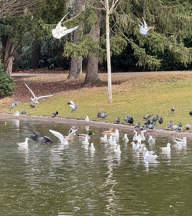 Stadtpark