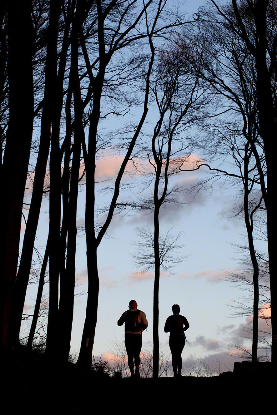 Menschen-Wald